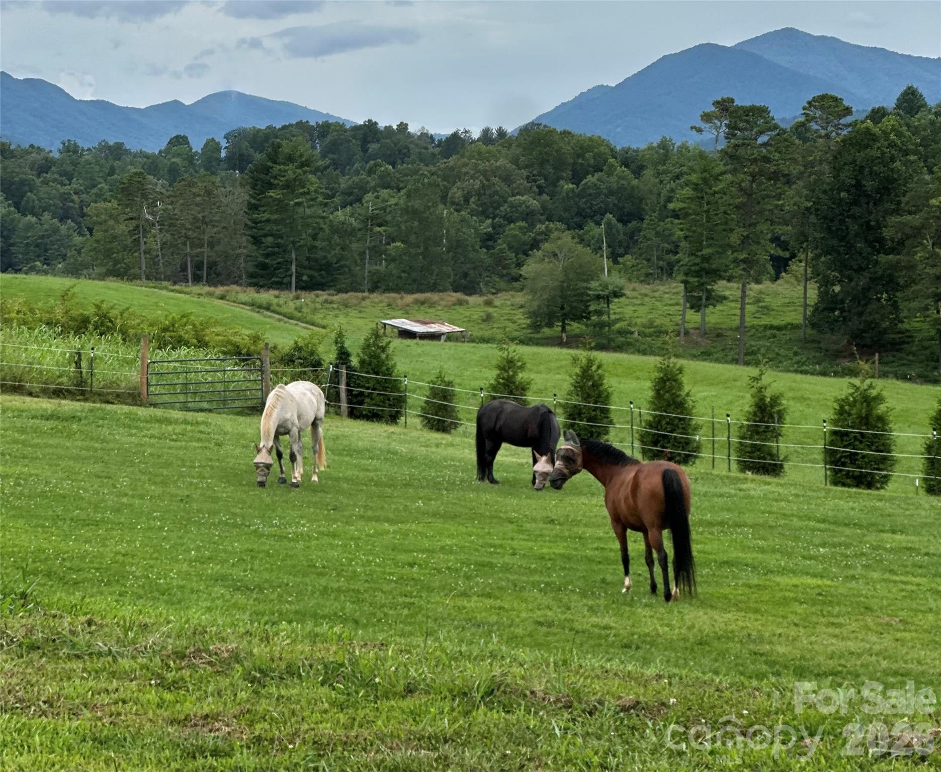 1552 Bear Creek Road