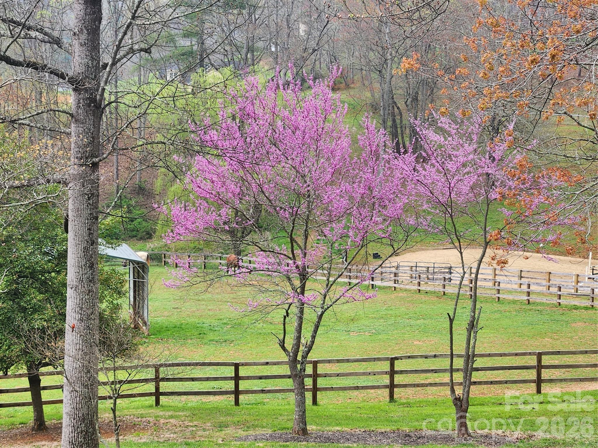 1552 Bear Creek Road