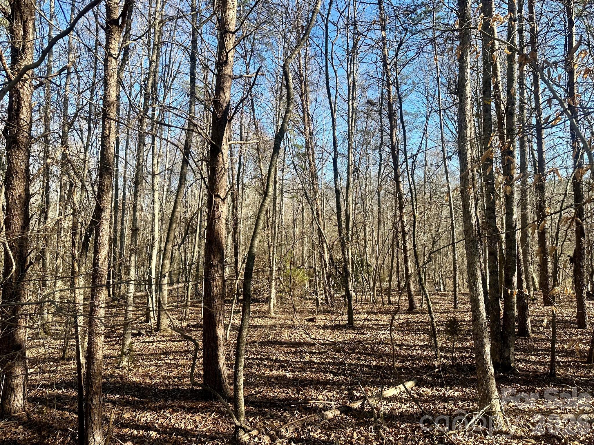 99999 River Crest Parkway