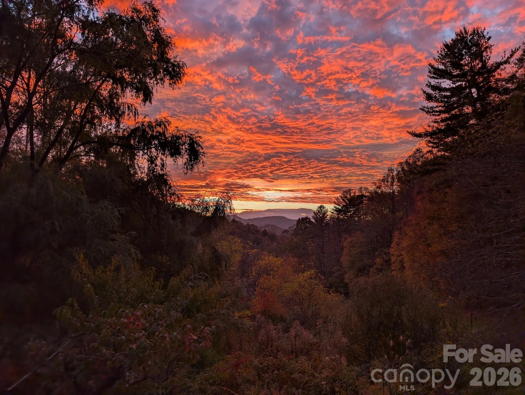 1105 Griffin Branch Road