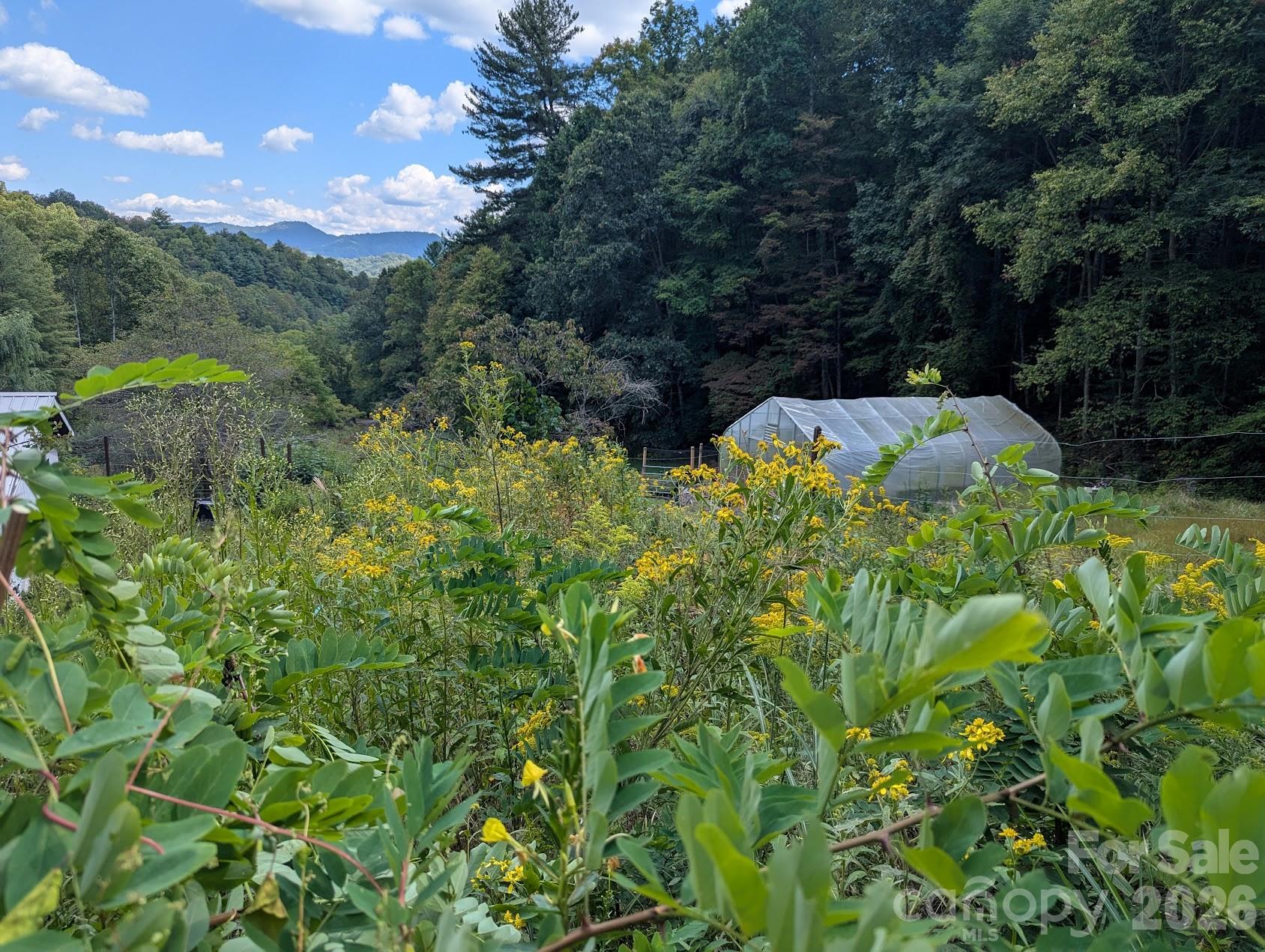 1105 Griffin Branch Road