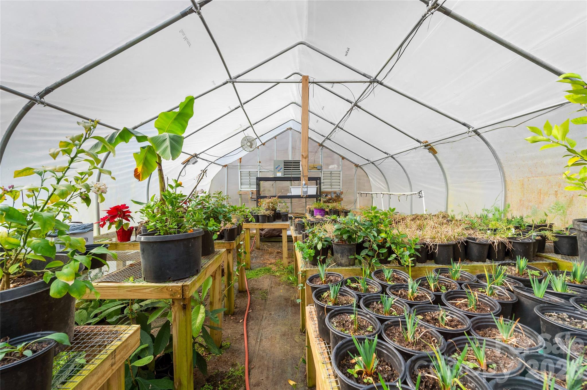 1105 Griffin Branch Road