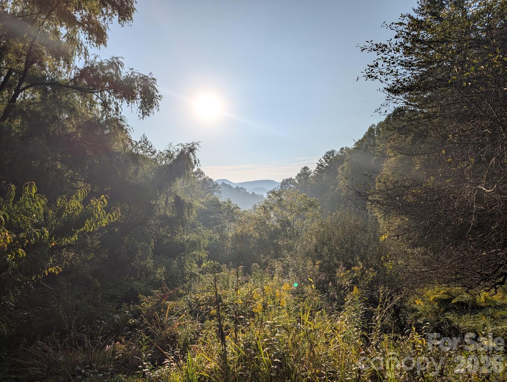 1105 Griffin Branch Road