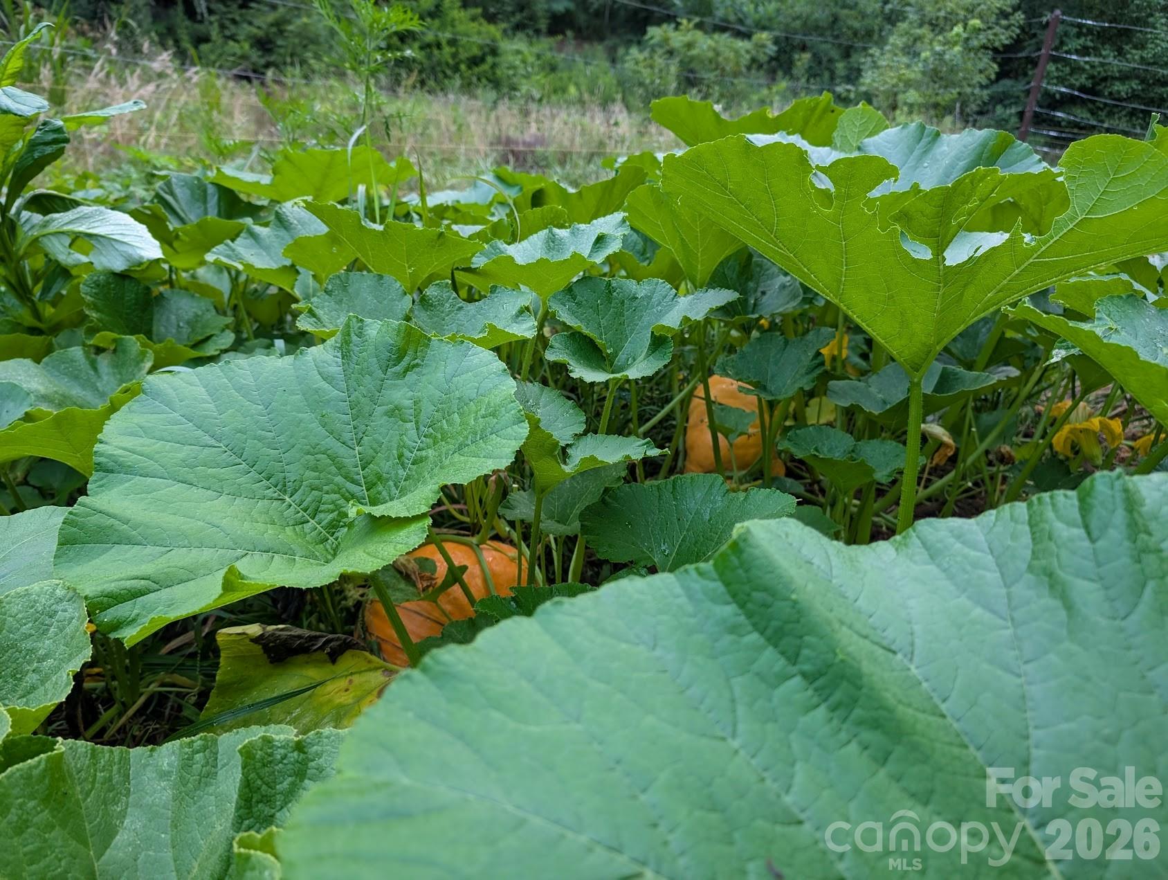 1105 Griffin Branch Road