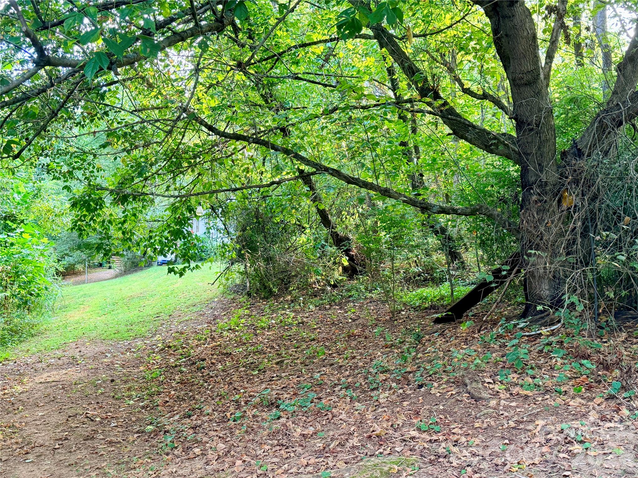 173 & 175 Dix Creek Chapel Road