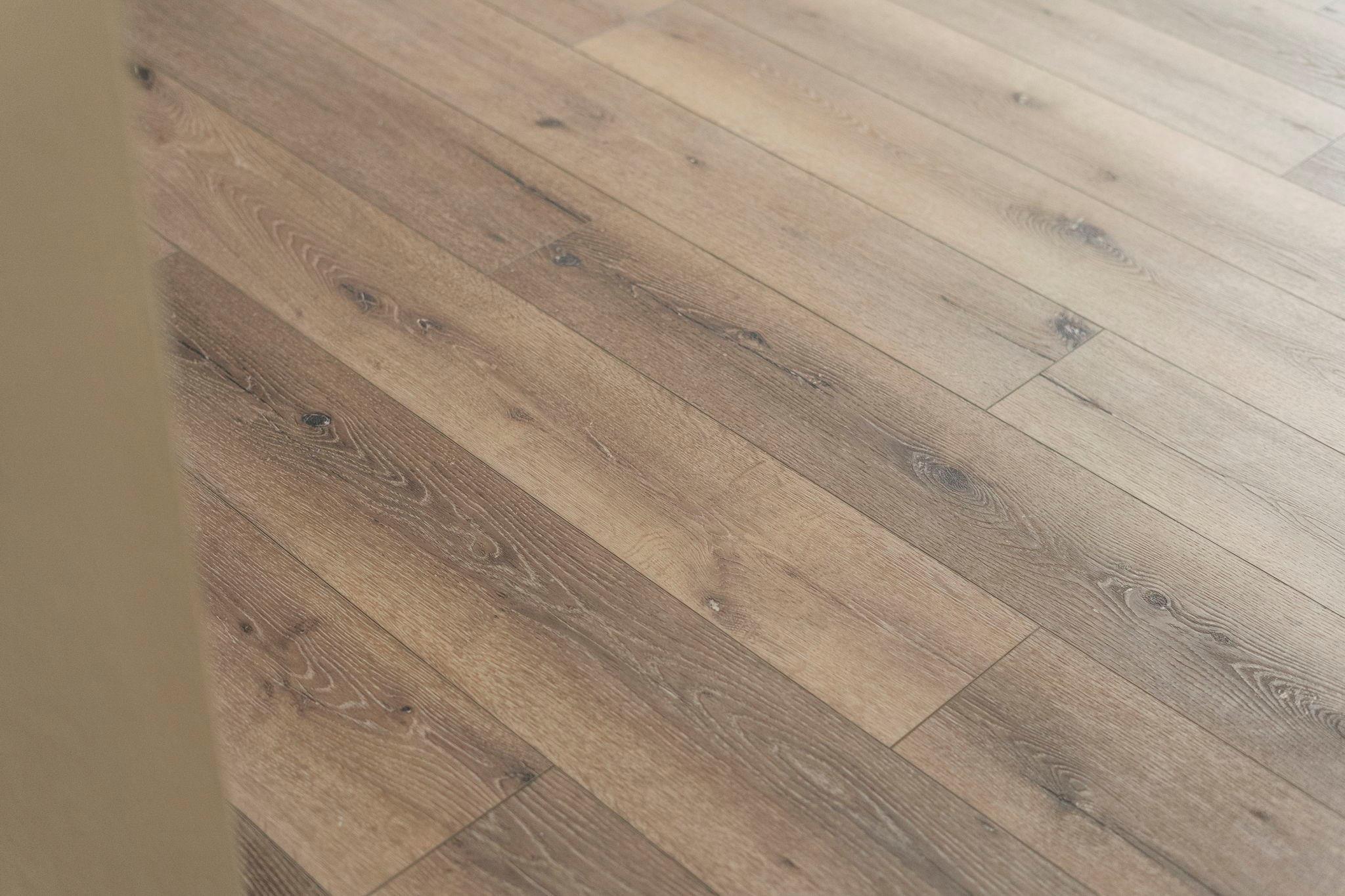 2038 Crisfield Drive