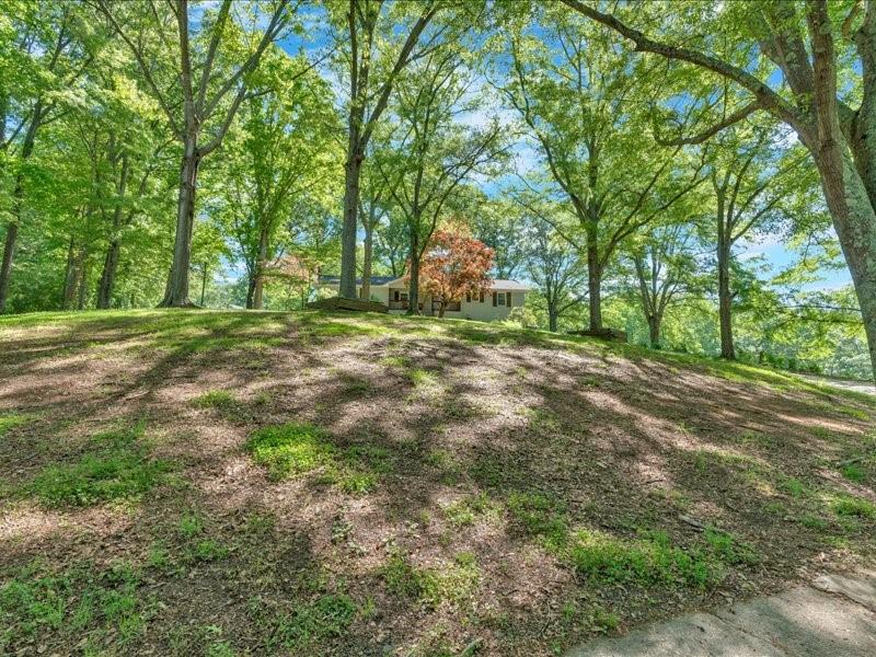 1141 Buchanan Highway