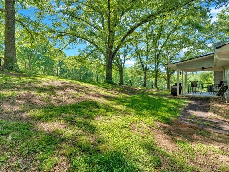 1141 Buchanan Highway