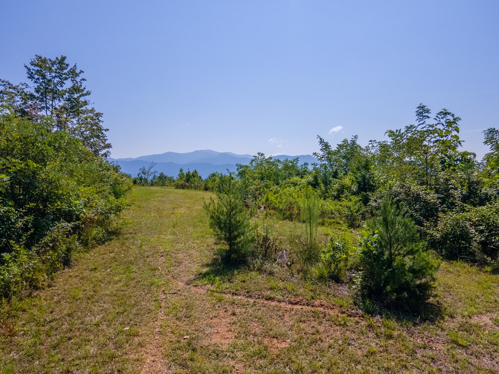 380 Ledford Dr