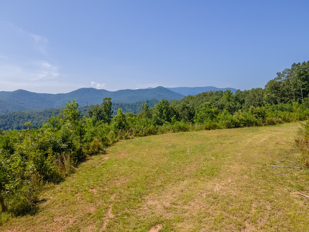 380 Ledford Dr