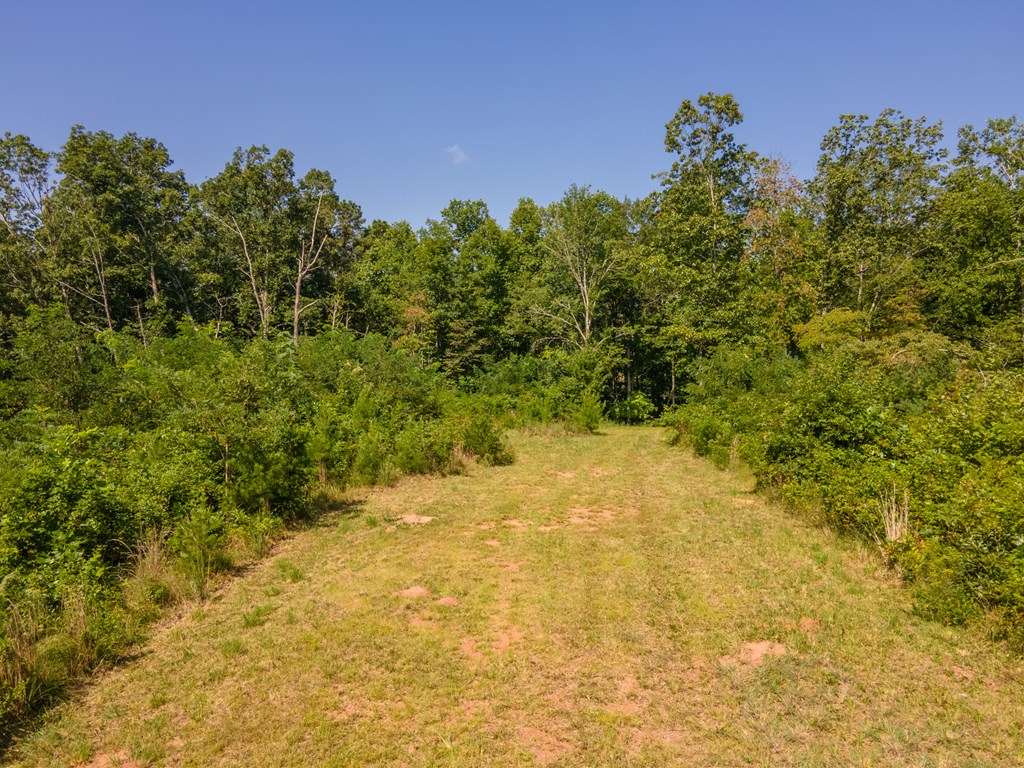 380 Ledford Dr