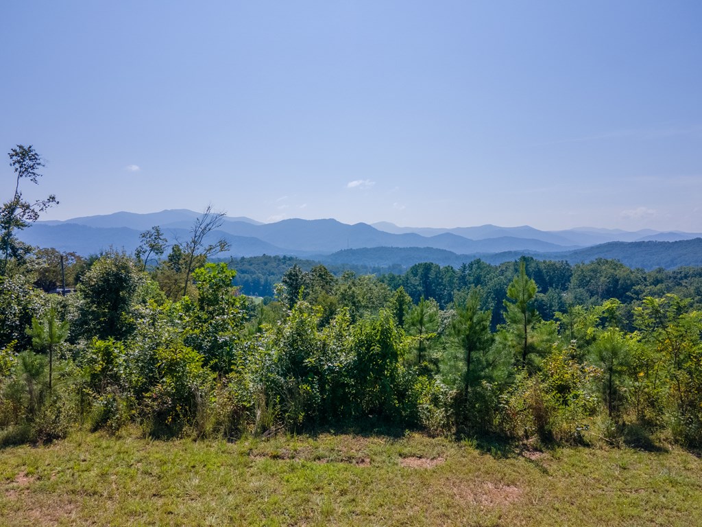 380 Ledford Dr