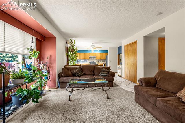 6825 Ashley Drive