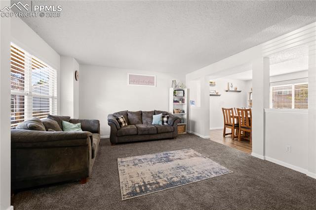 4980 Wilkin Drive