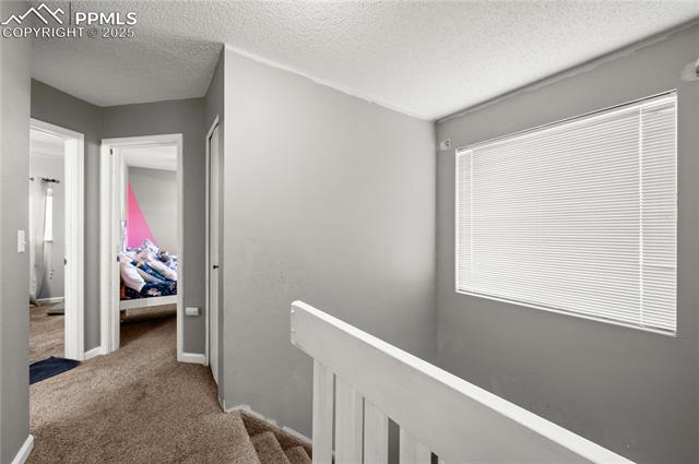 4980 Wilkin Drive