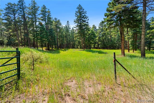 10950 Bartlett Trail