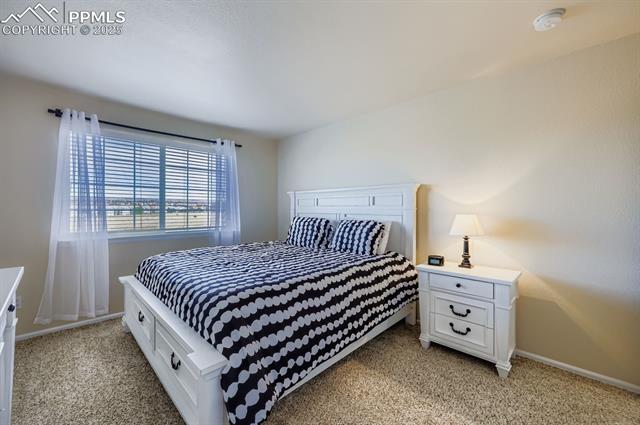 6718 Barrel Race Drive