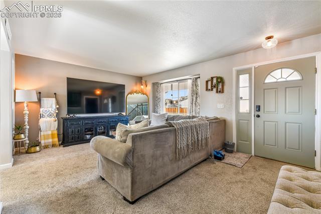 8141 Sedgewick Drive