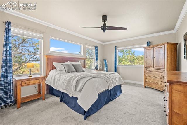 3911 Roberts Ridge Place