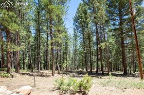 1632 Sand Road