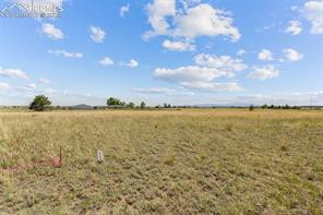 14770 Tiboria Loop