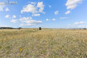 14770 Tiboria Loop