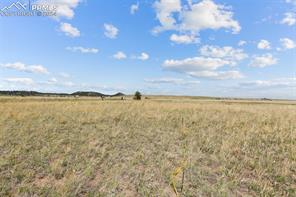 14770 Tiboria Loop