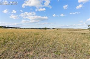 14770 Tiboria Loop