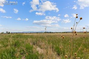 14770 Tiboria Loop