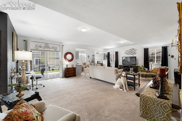 8077 Noble Fir Court