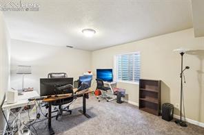 5435 Setters Way