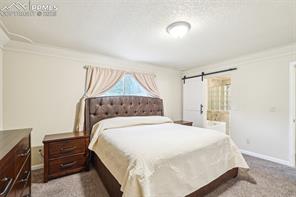 5435 Setters Way