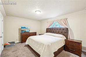 5435 Setters Way
