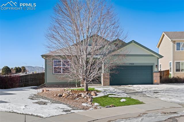 7968 Catbird Court