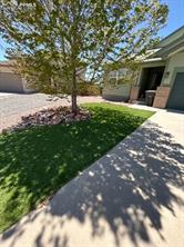 7968 Catbird Court