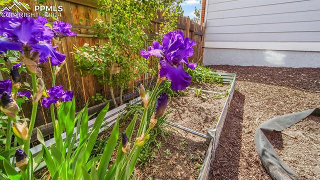 2345 Rossmere Street