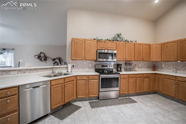 4861 Desert Varnish Drive