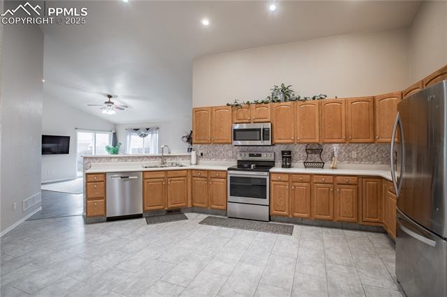 4861 Desert Varnish Drive