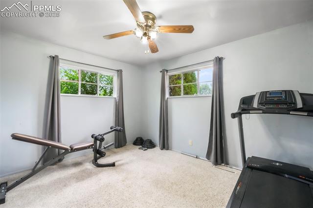 217 Steven Drive