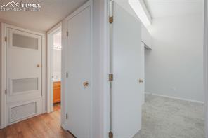 3664 Iguana Drive