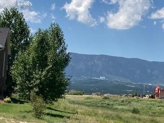 11536 Black Maple Lane