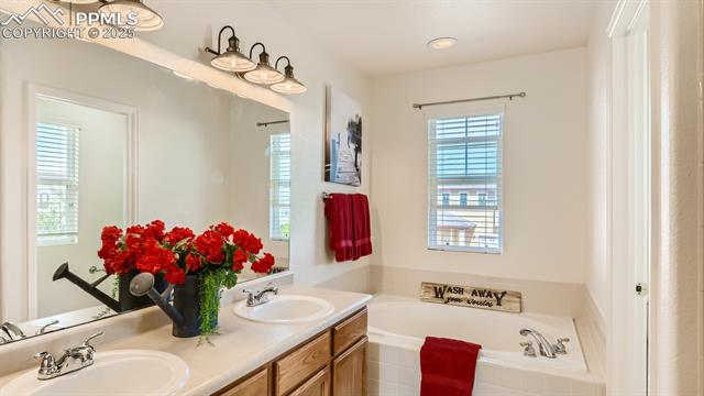 11536 Black Maple Lane