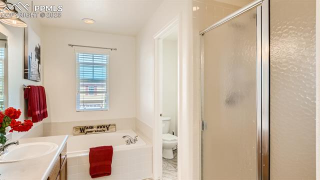 11536 Black Maple Lane