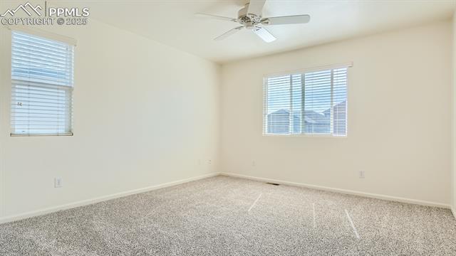 11536 Black Maple Lane