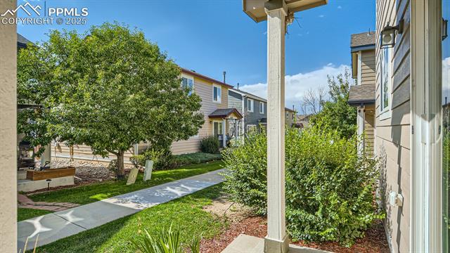 11536 Black Maple Lane