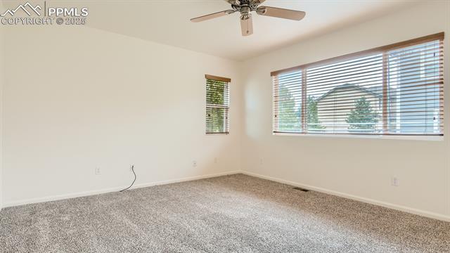 11536 Black Maple Lane