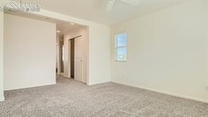 11536 Black Maple Lane