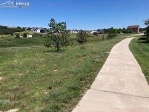 11536 Black Maple Lane