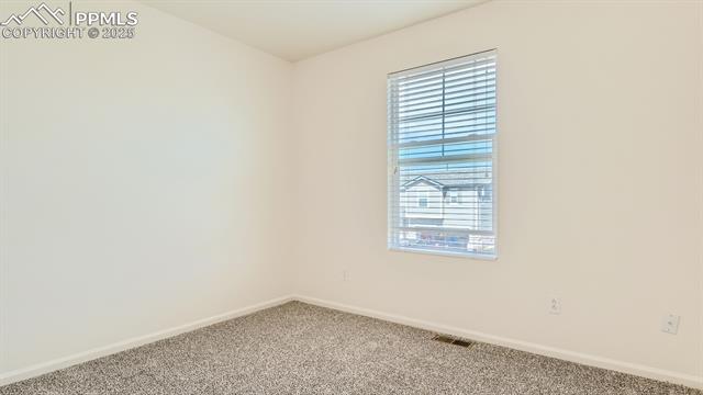 11536 Black Maple Lane