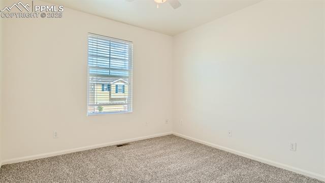 11536 Black Maple Lane